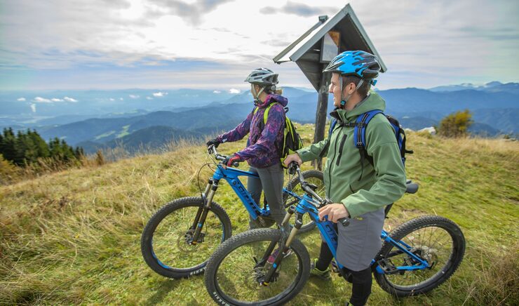 rugged e bike